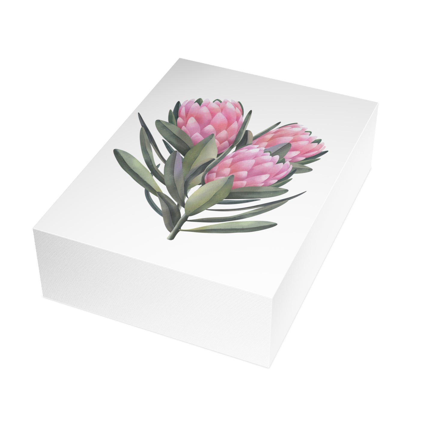 Greeting Cards Protea (1, 10, 30, and 50pcs)