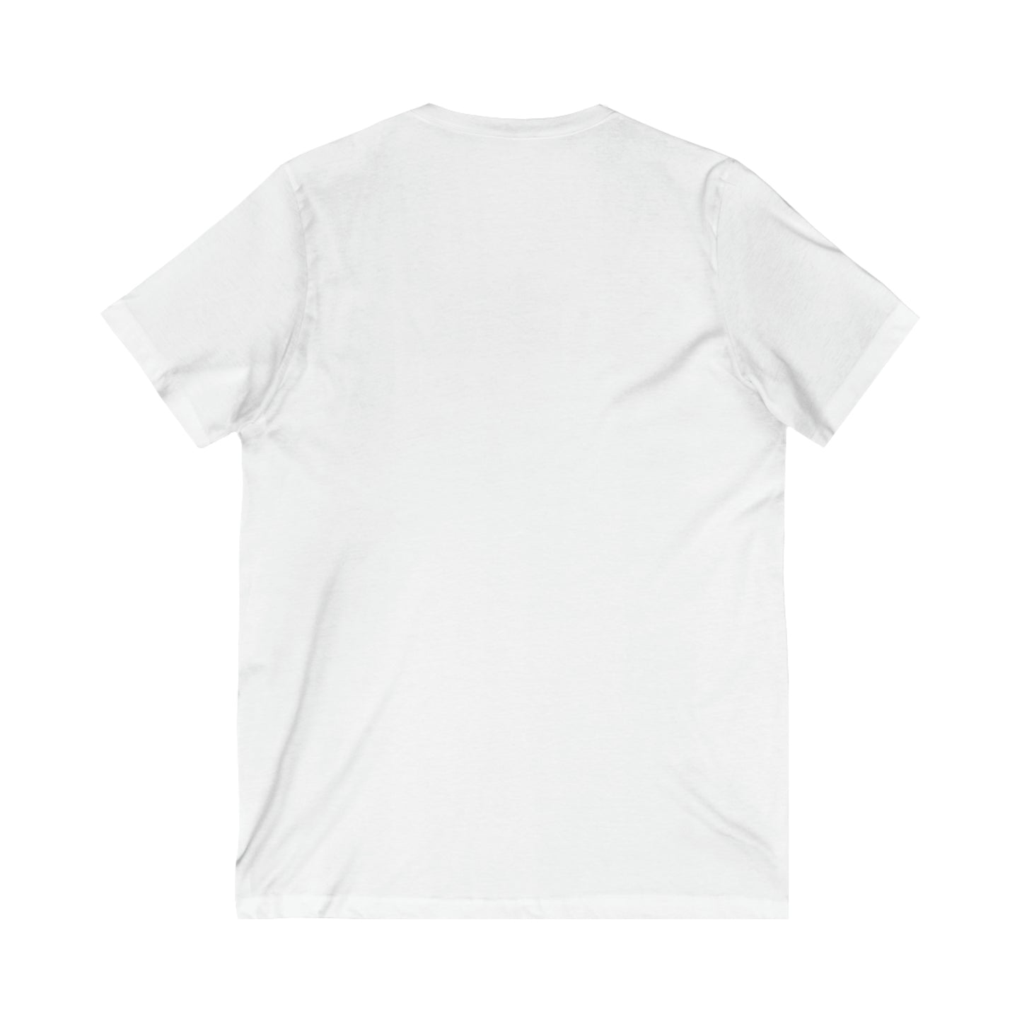 SOUTH AFRICA FLAG V-Neck Shirt, South Africa tshirt, South african flag Bella & Canvas tee