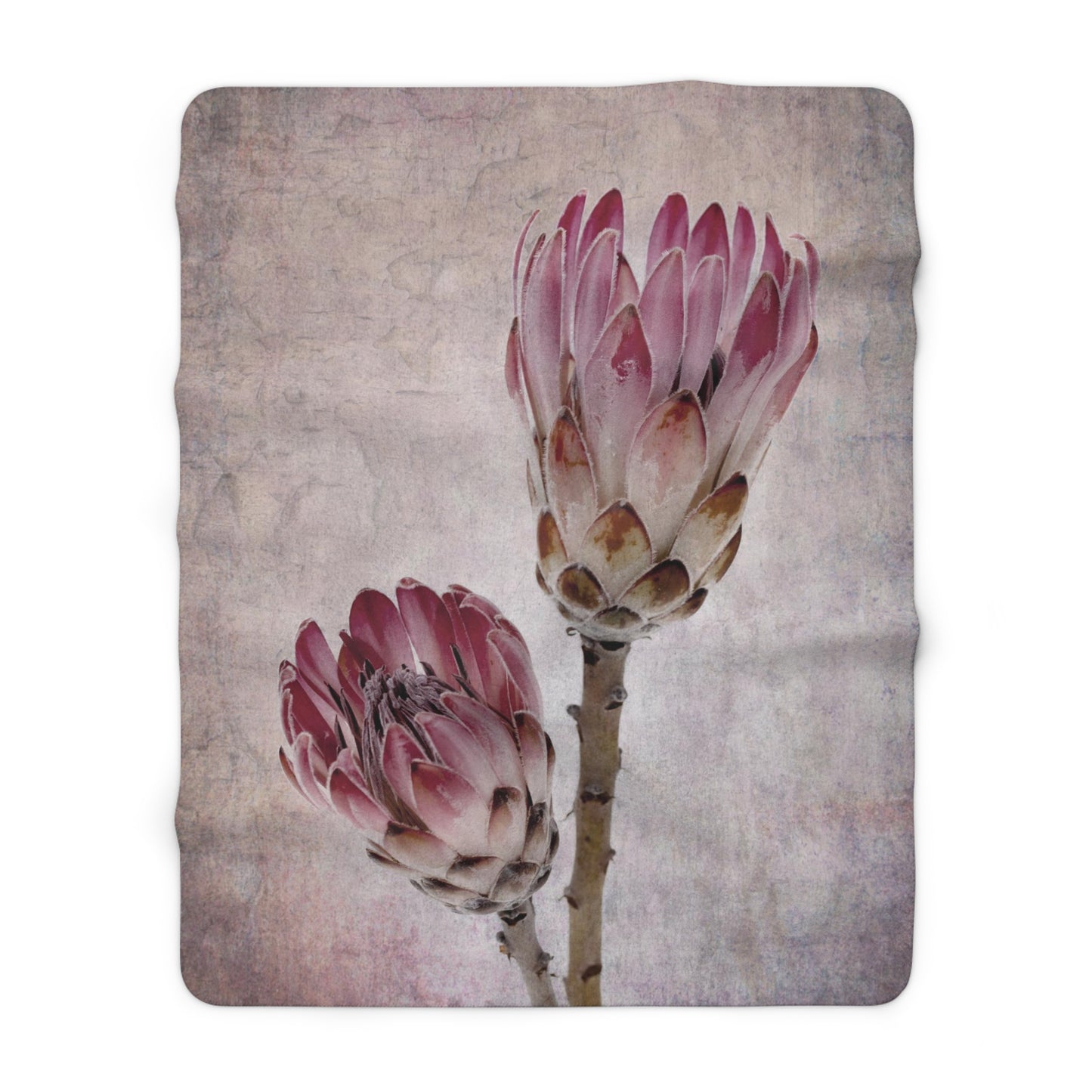 FLORAL PROTEA Cozy Sherpa Fleece Blanket