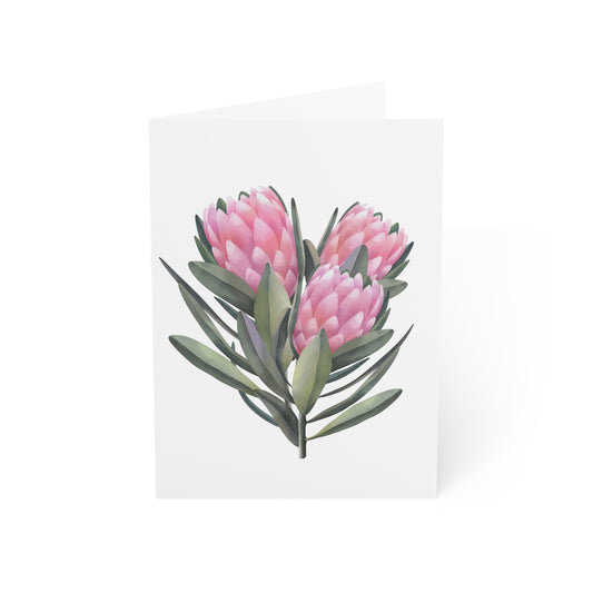 Greeting Cards Protea (1, 10, 30, and 50pcs)