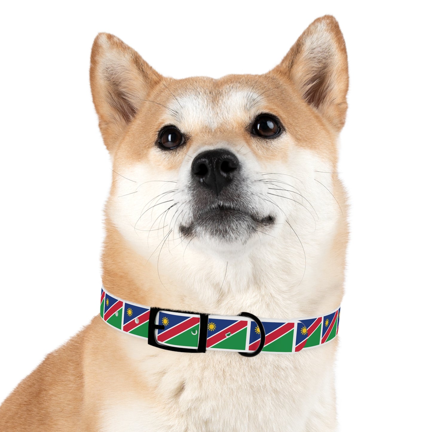 NAMIBIA FLAG DOG COLLAR