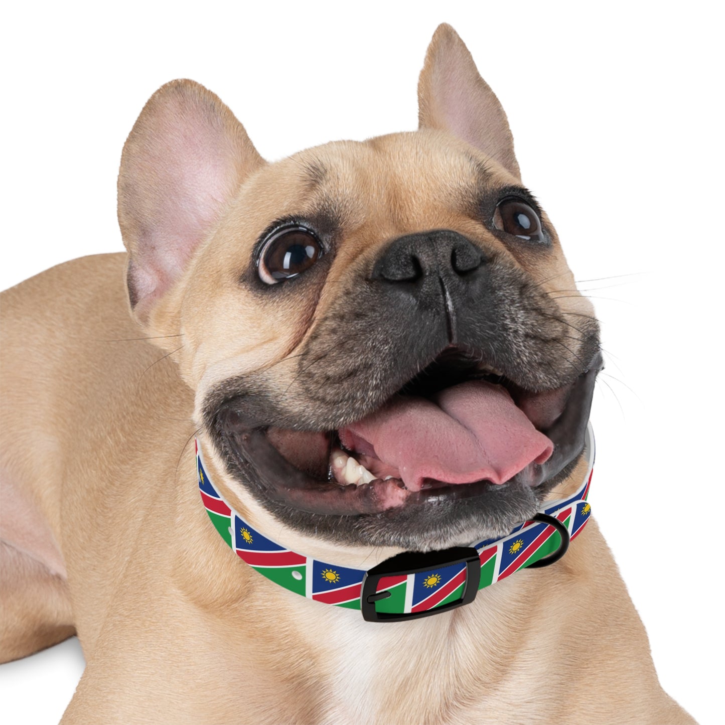 NAMIBIA FLAG DOG COLLAR