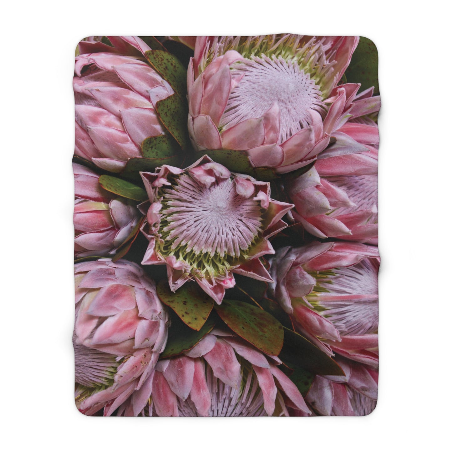 FLORAL PROTEA Cozy Sherpa Fleece Blanket