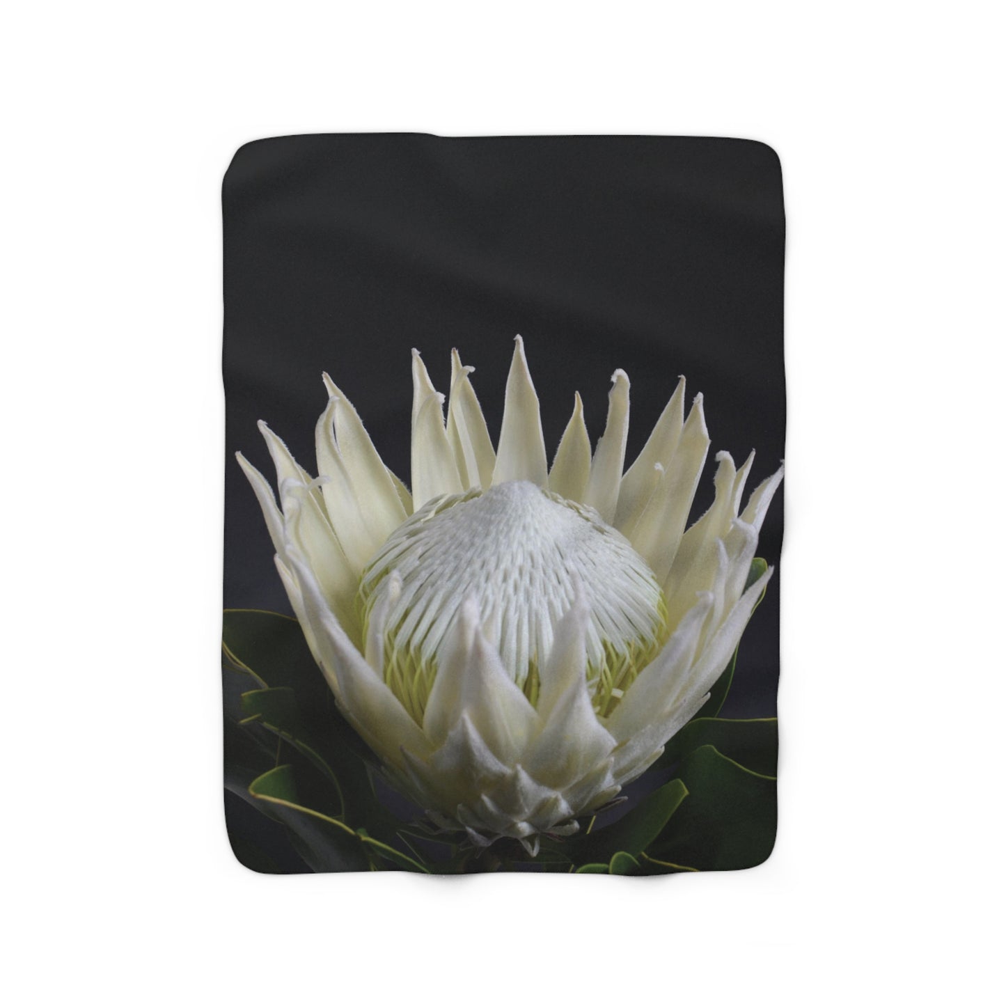 FLORAL PROTEA Cozy Sherpa Fleece Blanket