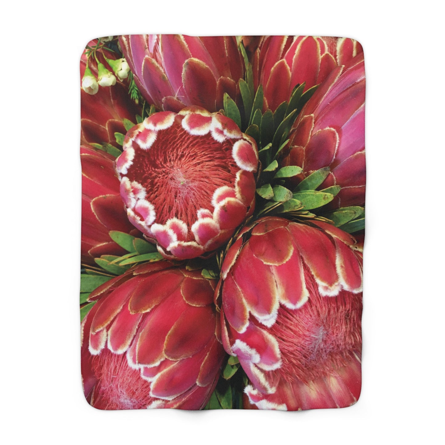 FLORAL PROTEA Cozy Sherpa Fleece Blanket