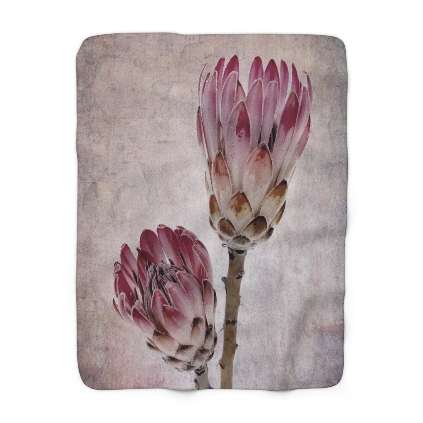 FLORAL PROTEA Cozy Sherpa Fleece Blanket