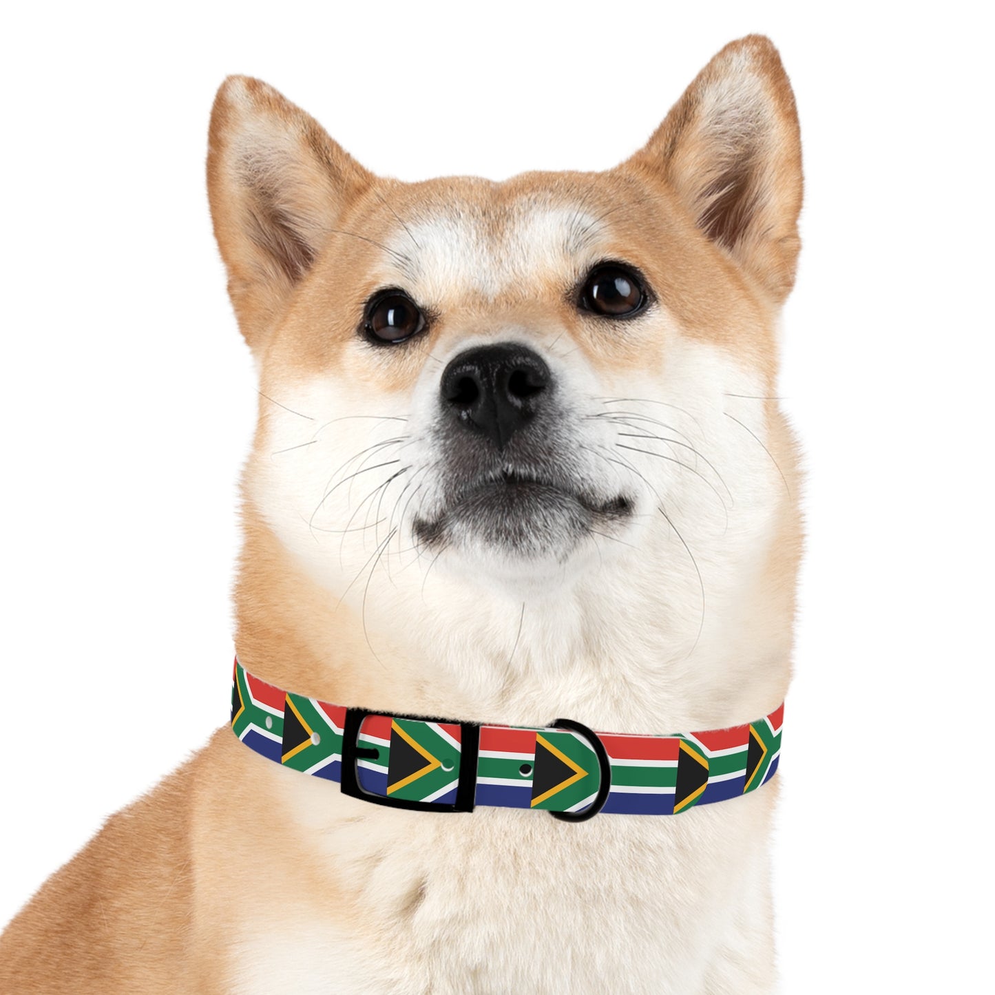 Dog Collar South African flag